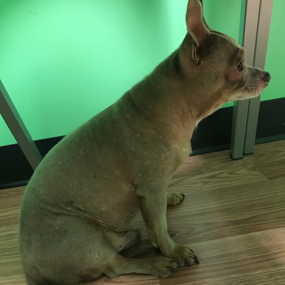 🐶3-21 COMMENTS FULL PLZ UNLIKE & LIKE THE NEW🙏 - Picture 13 of 16